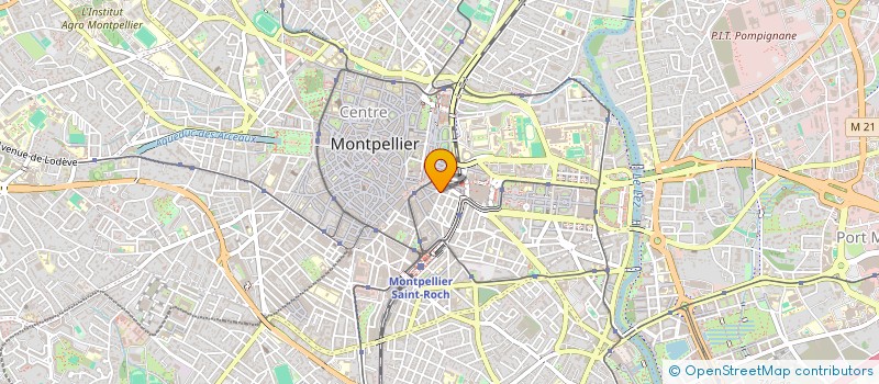 localisation de l'entreprise MADAME LAYLA ROUX à MONTPELLIER