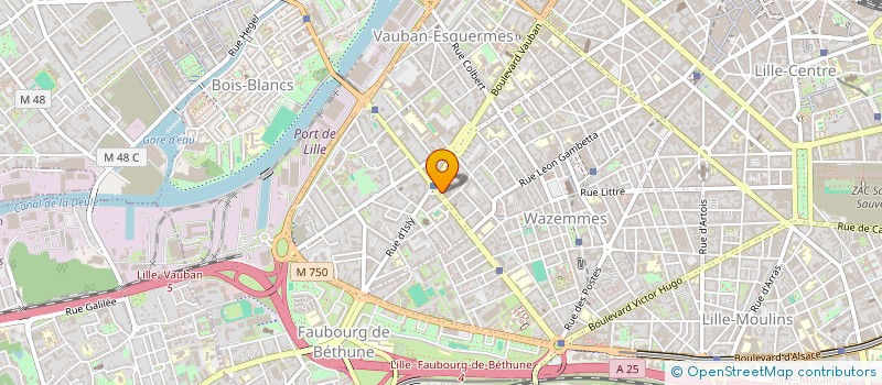 localisation de l'entreprise MADAME LEA BARBIER à LILLE