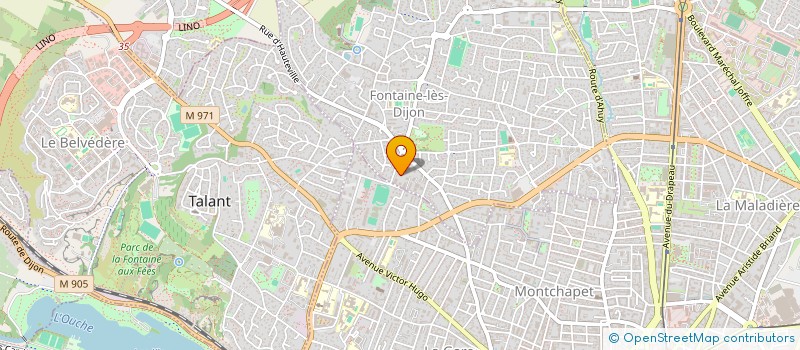 localisation de l'entreprise MADAME LEA BOYER  FONTAINE-LES-DIJON