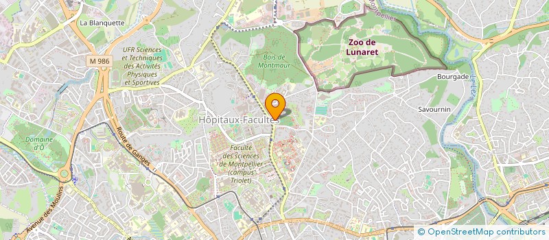 localisation de l'entreprise MADAME LEA CARLES à MONTPELLIER