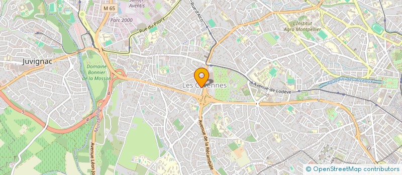 localisation de l'entreprise MADAME LEA CHALOPIN à MONTPELLIER