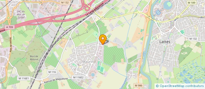 localisation de l'entreprise MADAME LEA CHAUVIN à LATTES