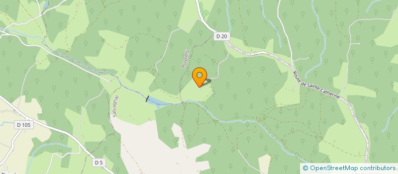 localisation de l'entreprise MADAME LEA DEBORDE  SALVAGNAC