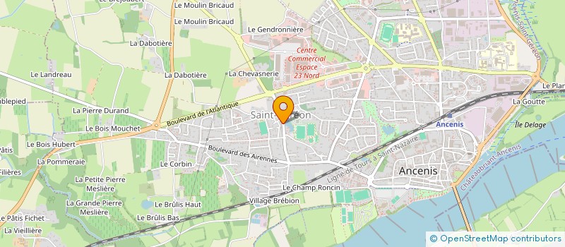 localisation de l'entreprise MADAME LEA DELELIGNE  ANCENIS-SAINT-GEREON