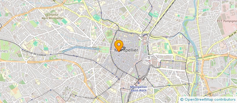 localisation de l'entreprise MADAME LEA DI PLACIDO à MONTPELLIER