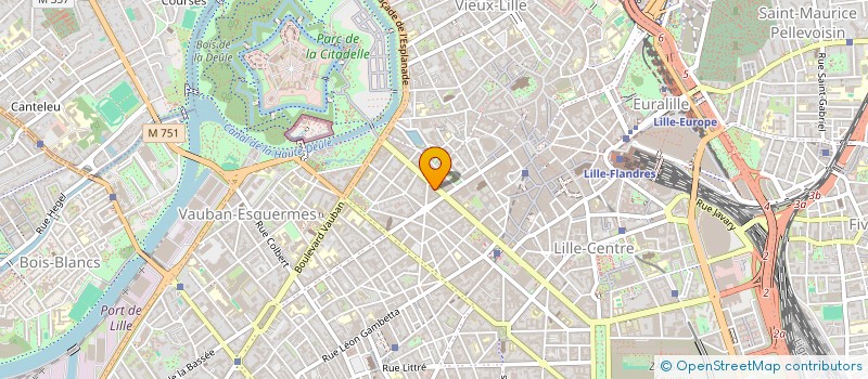 localisation de l'entreprise MADAME LEA DUHAMEL  LILLE