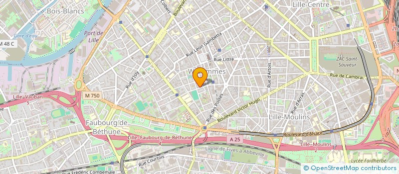 localisation de l'entreprise MADAME LEA GABILLET à LILLE