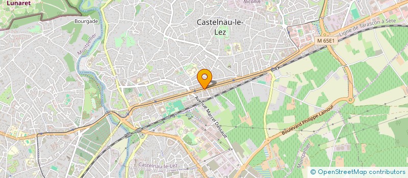 localisation de l'entreprise MADAME LEA GOMES RIBEIRO à CASTELNAU-LE-LEZ