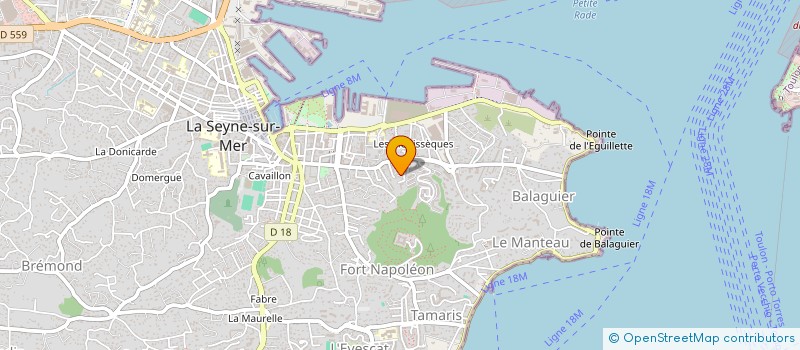 localisation de l'entreprise MADAME LEA MARIANELLI  LA SEYNE-SUR-MER