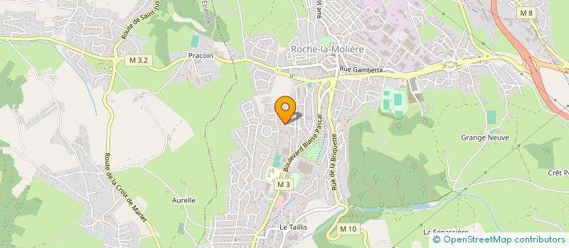 localisation de l'entreprise MADAME LEA MARLIAC  BAS-EN-BASSET