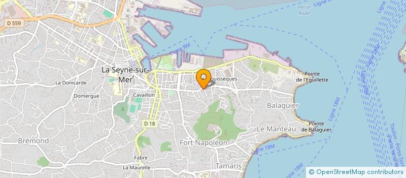 localisation de l'entreprise MADAME LEA MENDY  LA SEYNE-SUR-MER