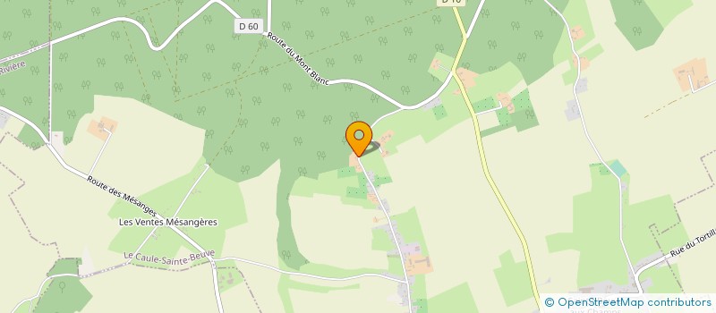 localisation de l'entreprise MADAME LEA PARMENT  LE CAULE-SAINTE-BEUVE