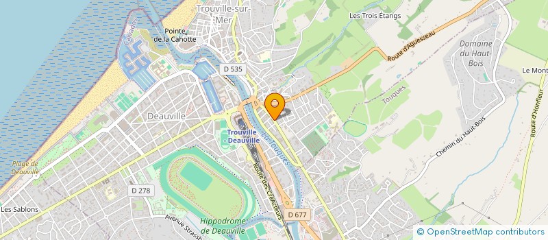 localisation de l'entreprise MADAME LEA PINTO à TROUVILLE-SUR-MER