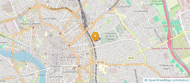 localisation de l'entreprise MADAME LEA PLAN à TOULOUSE