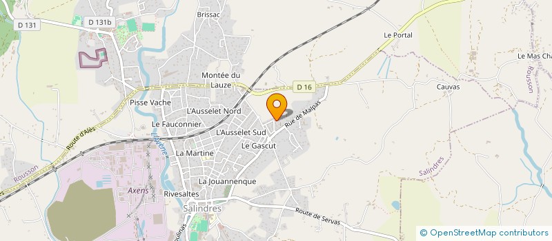 localisation de l'entreprise MADAME LEA SALSEDO à SALINDRES