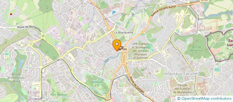 localisation de l'entreprise MADAME LEA SANTOS à MONTPELLIER