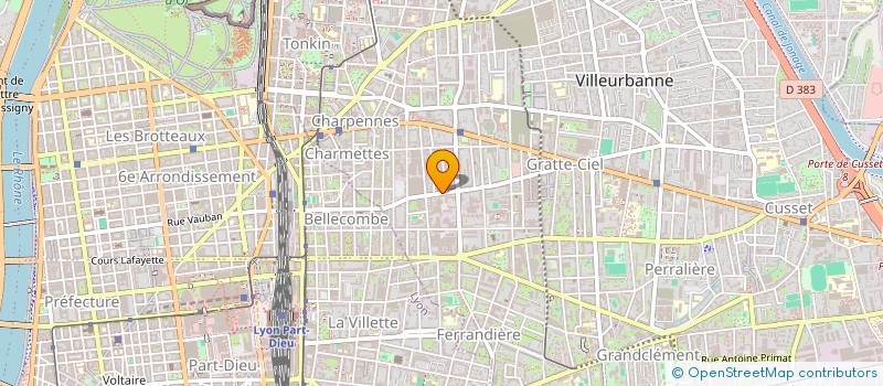 localisation de l'entreprise MADAME LEA TURMEAU  VILLEURBANNE