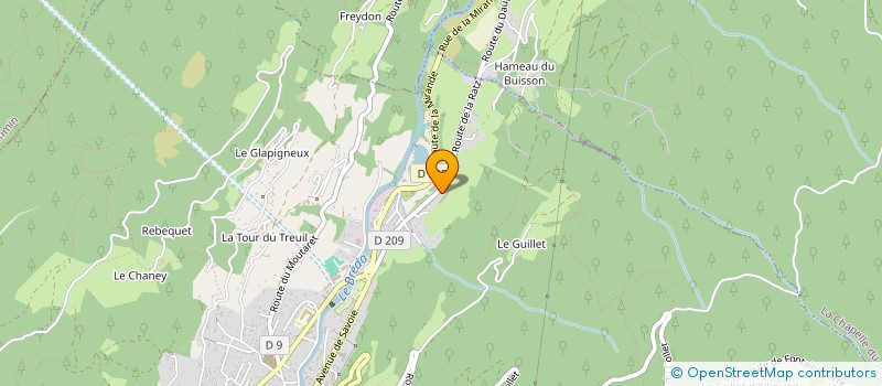 localisation de l'entreprise MADAME LEANA DANET  ALLEVARD