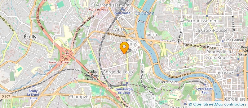 localisation de l'entreprise MADAME LEANA JOSEPH  LYON