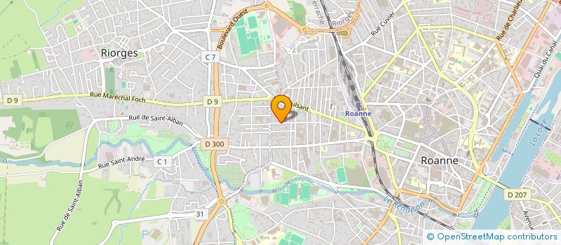 localisation de l'entreprise MADAME LEANE BERROYER  ROANNE