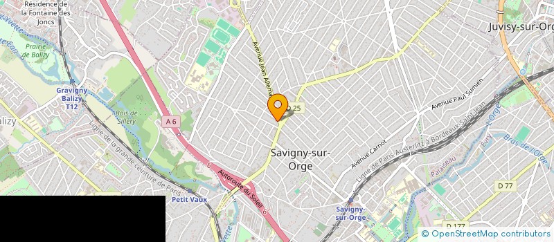 localisation de l'entreprise MADAME LEANE SENSAL  SAVIGNY-SUR-ORGE