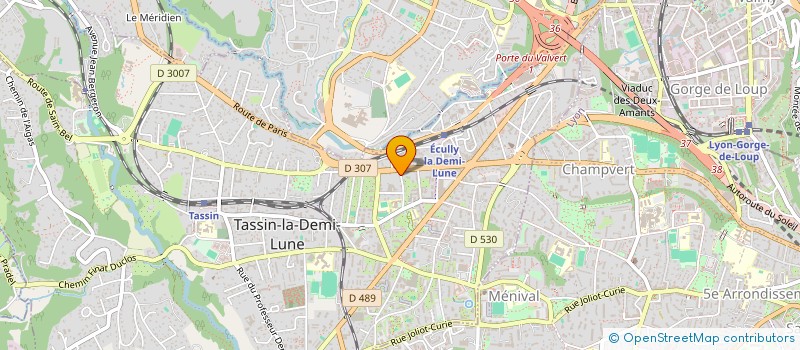 localisation de l'entreprise MADAME LEANNE GONCALVES  TASSIN-LA-DEMI-LUNE