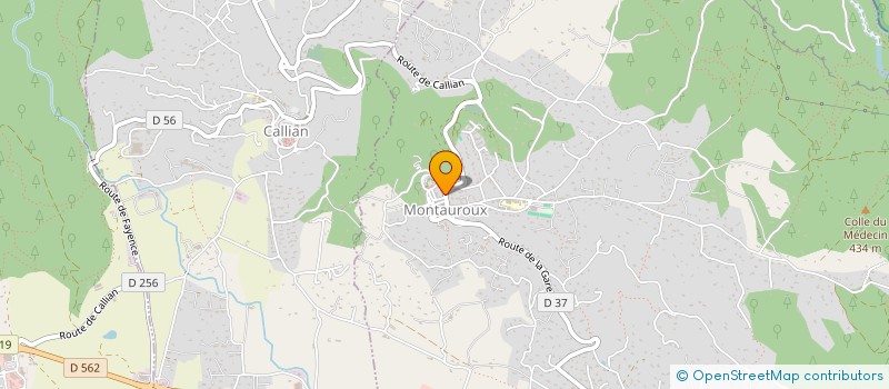 localisation de l'entreprise MADAME LEANNE MILLO  MONTAUROUX