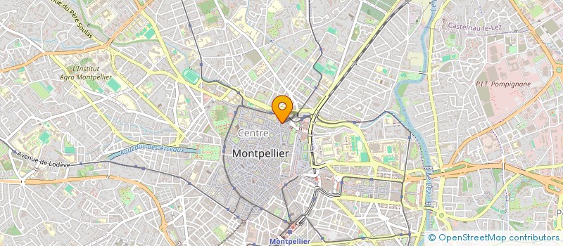 localisation de l'entreprise MADAME LEE-LOU HATEAU  MONTPELLIER