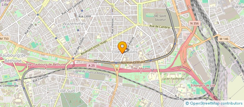 localisation de l'entreprise MADAME LEILA AMMAR à LILLE
