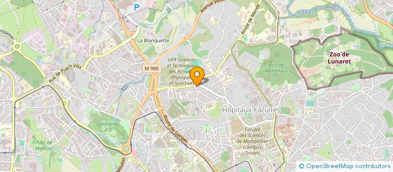 localisation de l'entreprise MADAME LEILA BENSLIMANE à MONTPELLIER