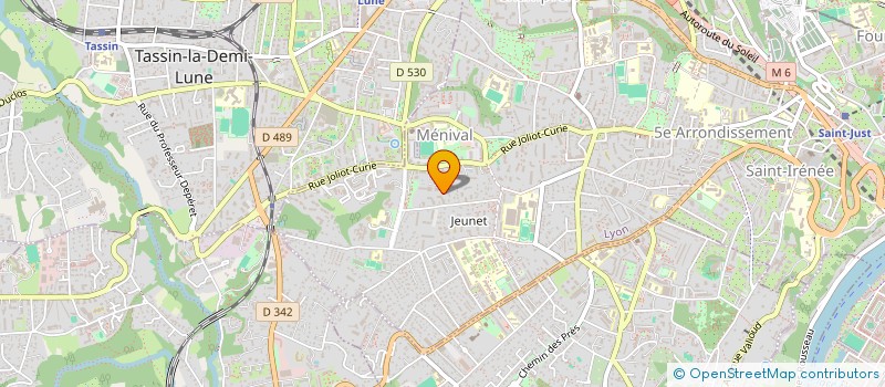 localisation de l'entreprise MADAME LEILA BERTHAUD  LYON