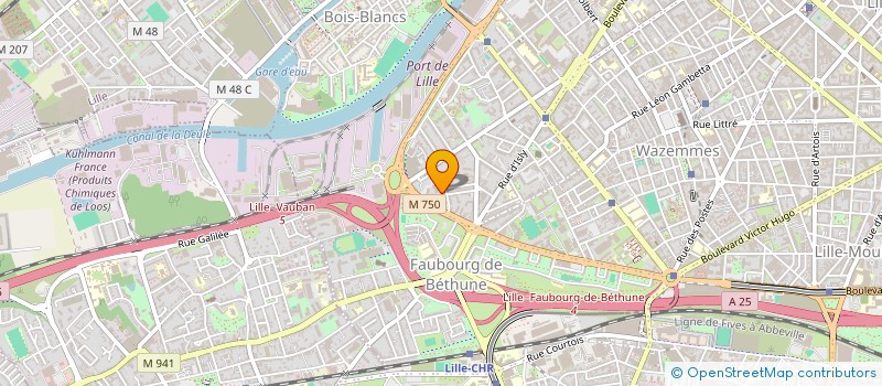 localisation de l'entreprise MADAME LEILA MOULDI à LILLE