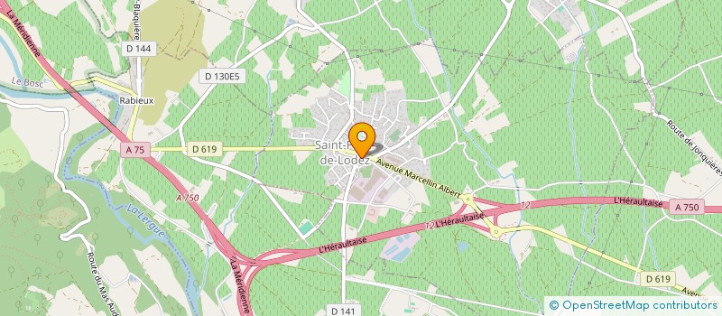 localisation de l'entreprise MADAME LEILOU CERDAN  SAINT-FELIX-DE-LODEZ