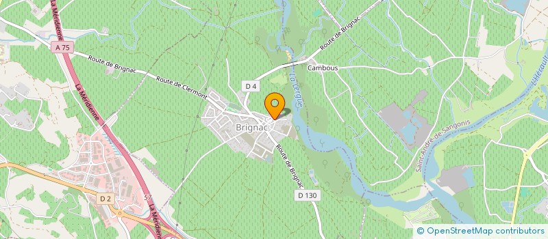 localisation de l'entreprise MADAME LENA GOUGE  BRIGNAC