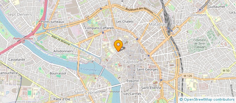 localisation de l'entreprise MADAME LENA MONLOUIS-BONNAIRE  TOULOUSE