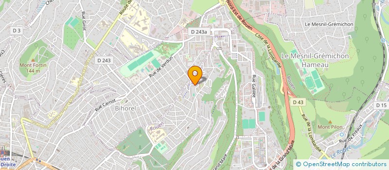 localisation de l'entreprise MADAME LENUTA-VASILICA COMAN  ROUEN