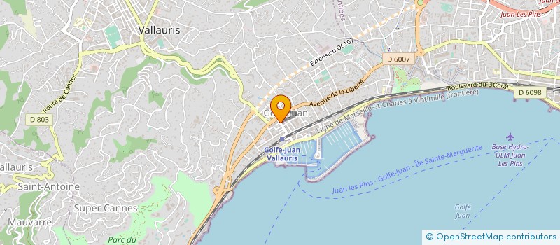 localisation de l'entreprise MADAME LEONARDA SARURRO à VALLAURIS