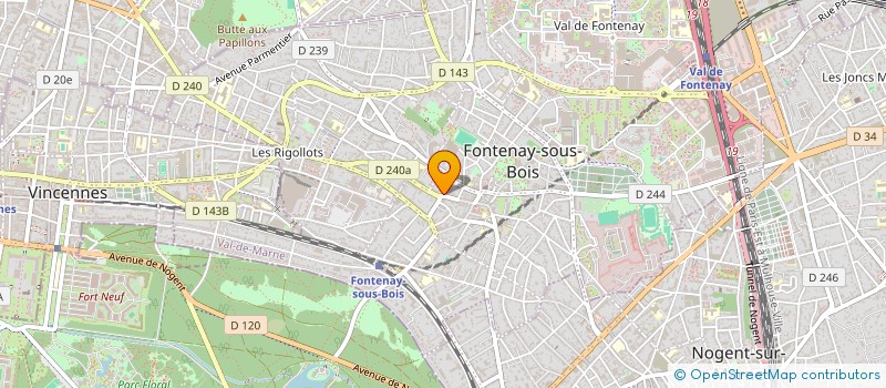 localisation de l'entreprise MADAME LEONE DELPIERRE à FONTENAY-SOUS-BOIS