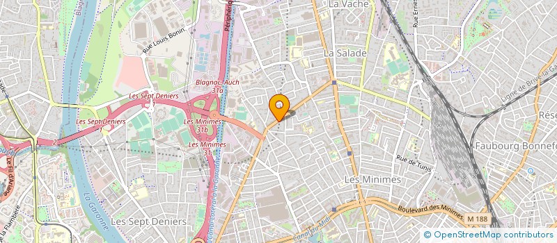 localisation de l'entreprise MADAME LEONE LADAGNOUS à TOULOUSE
