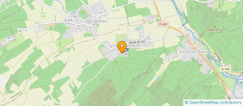 localisation de l'entreprise MADAME LEONIE BRUXER  SALINS-LES-BAINS