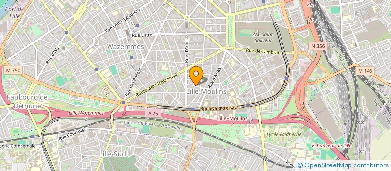 localisation de l'entreprise MADAME LEONIE DRAYSS à LILLE