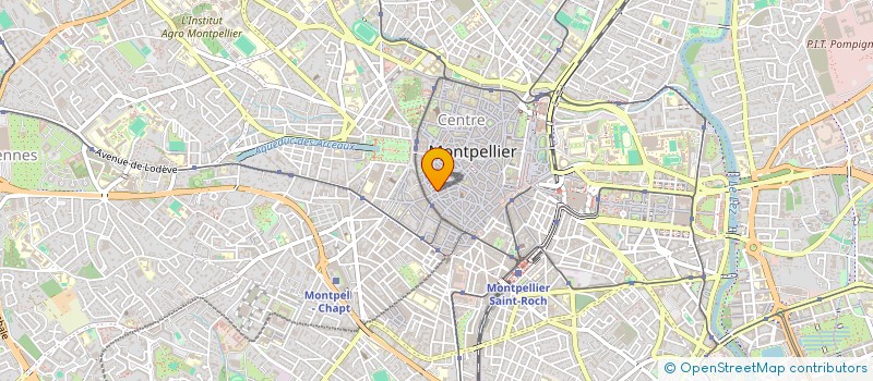 localisation de l'entreprise MADAME LEONIE MATUSZEWSKI à MONTPELLIER