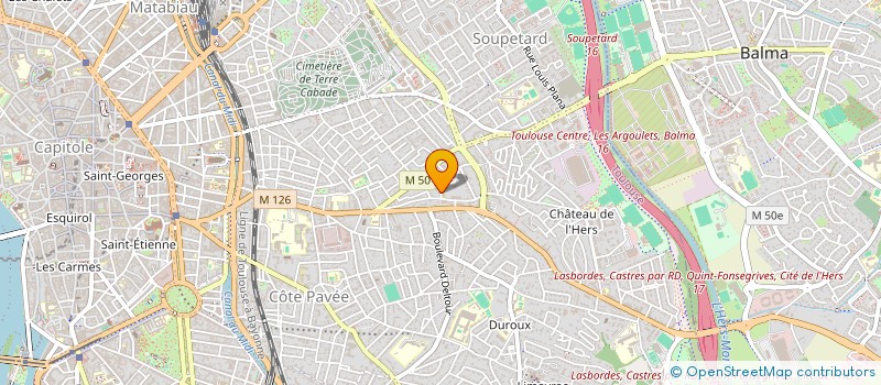 localisation de l'entreprise MADAME LEONIE MONOT  TOULOUSE
