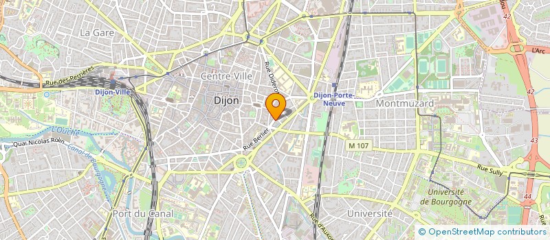 localisation de l'entreprise MADAME LEONORA MOOS  DIJON