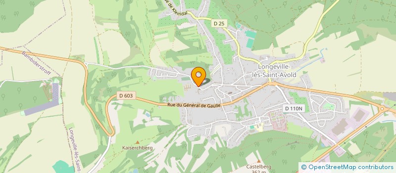 localisation de l'entreprise MADAME LESLIE CAPS  LONGEVILLE-LES-SAINT-AVOLD