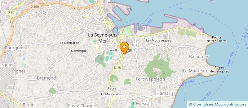 localisation de l'entreprise MADAME LESLIE DE ALMEIDA à LA SEYNE-SUR-MER