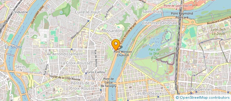 localisation de l'entreprise MADAME LESLIE MICHELE FERRELL  LYON