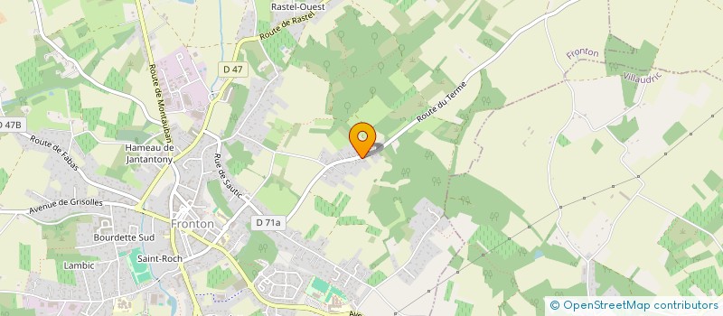 localisation de l'entreprise MADAME LESLIE TOULOUSE  FRONTON