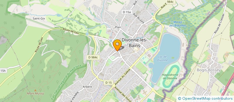 localisation de l'entreprise MADAME LESLIE TREVISIOL  DIVONNE-LES-BAINS