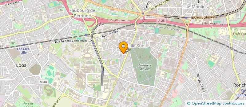 localisation de l'entreprise MADAME LETICIA BOSSOLO à LILLE